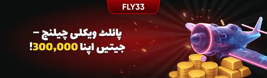 fly33